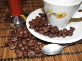 Go Caffe Plantation AA India Single Origin kávéteszt