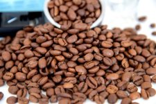 Roastopus Siren Espresso - Honduras szemeskávé teszt kávébabok